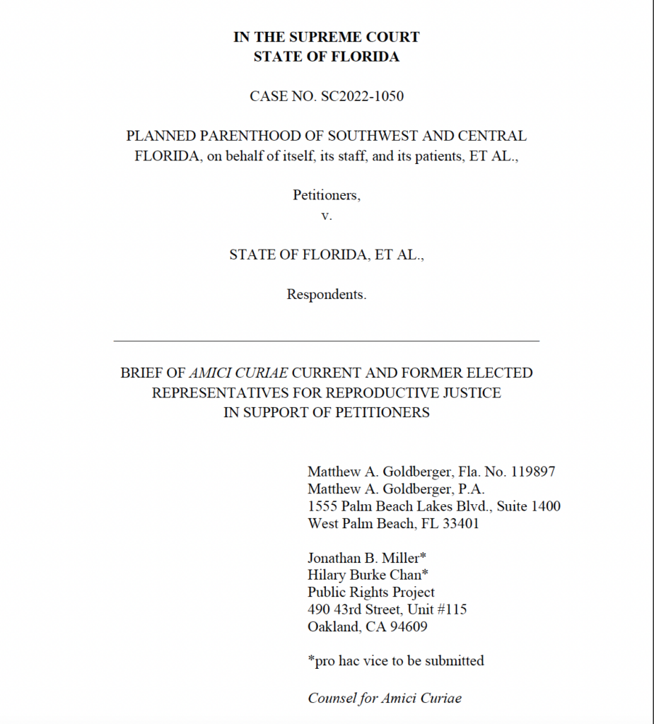 Screenshot of HB5 amicus brief.