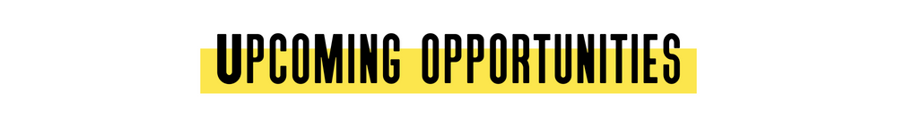 upcoming opportunities