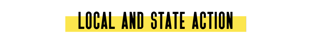 local and state action