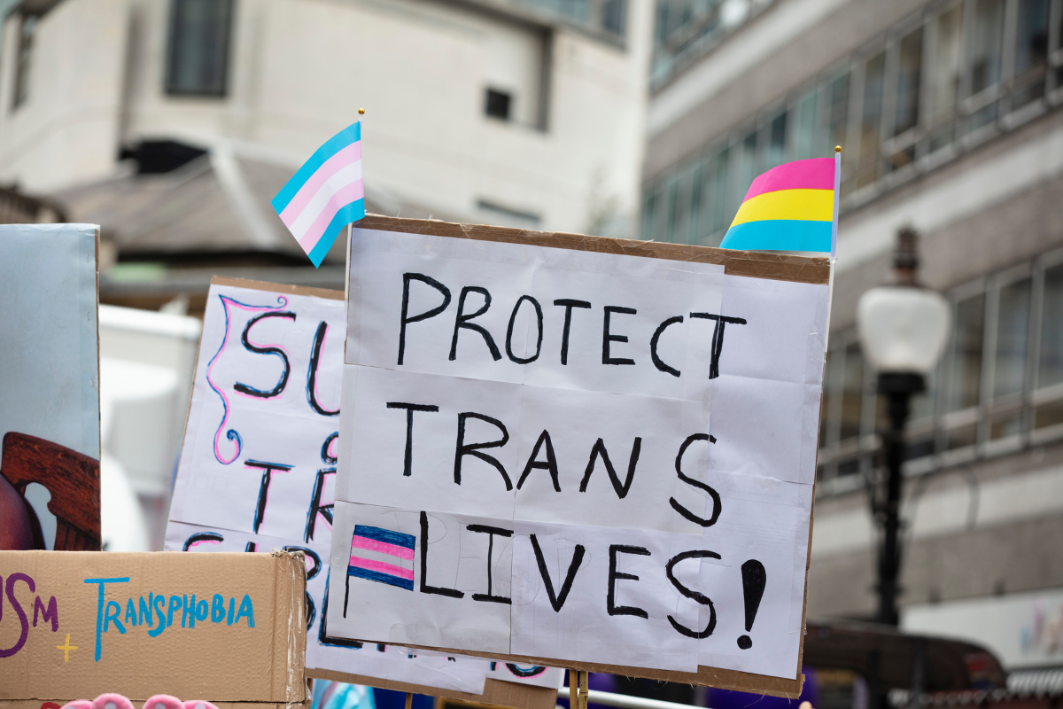 Photo with a sign that says "Protect Trans Lives" and trans and LGBTQ rainbow flags.